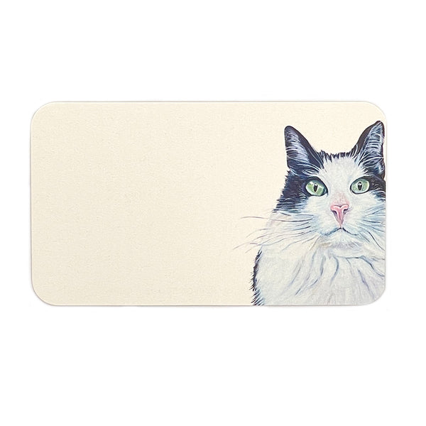 Pawsitive Notes- Kiwi