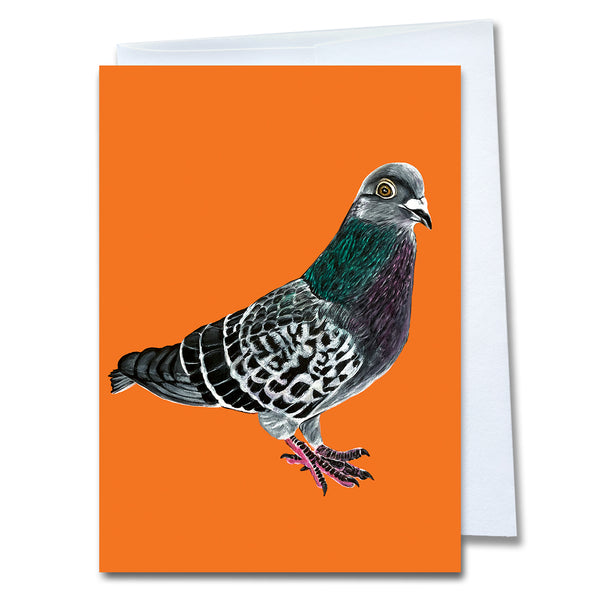 California Rescued Animals Card Set 2